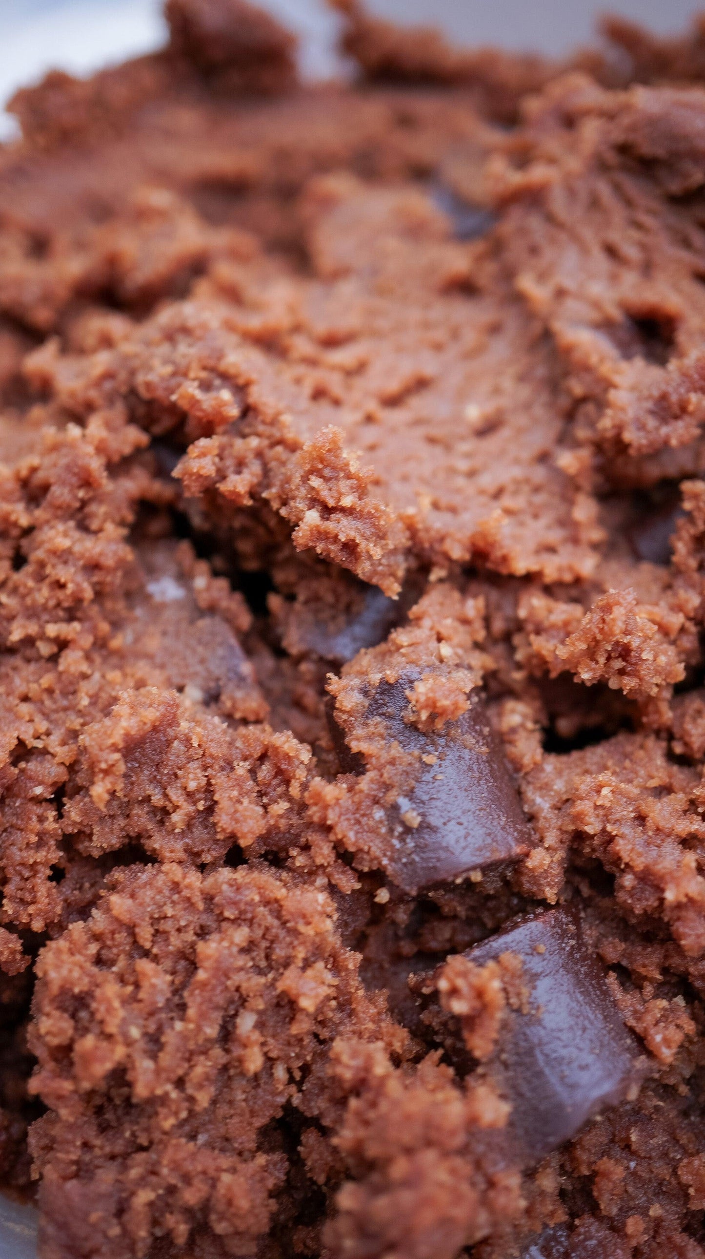 Brownie Batter - Raw Bites By Risa