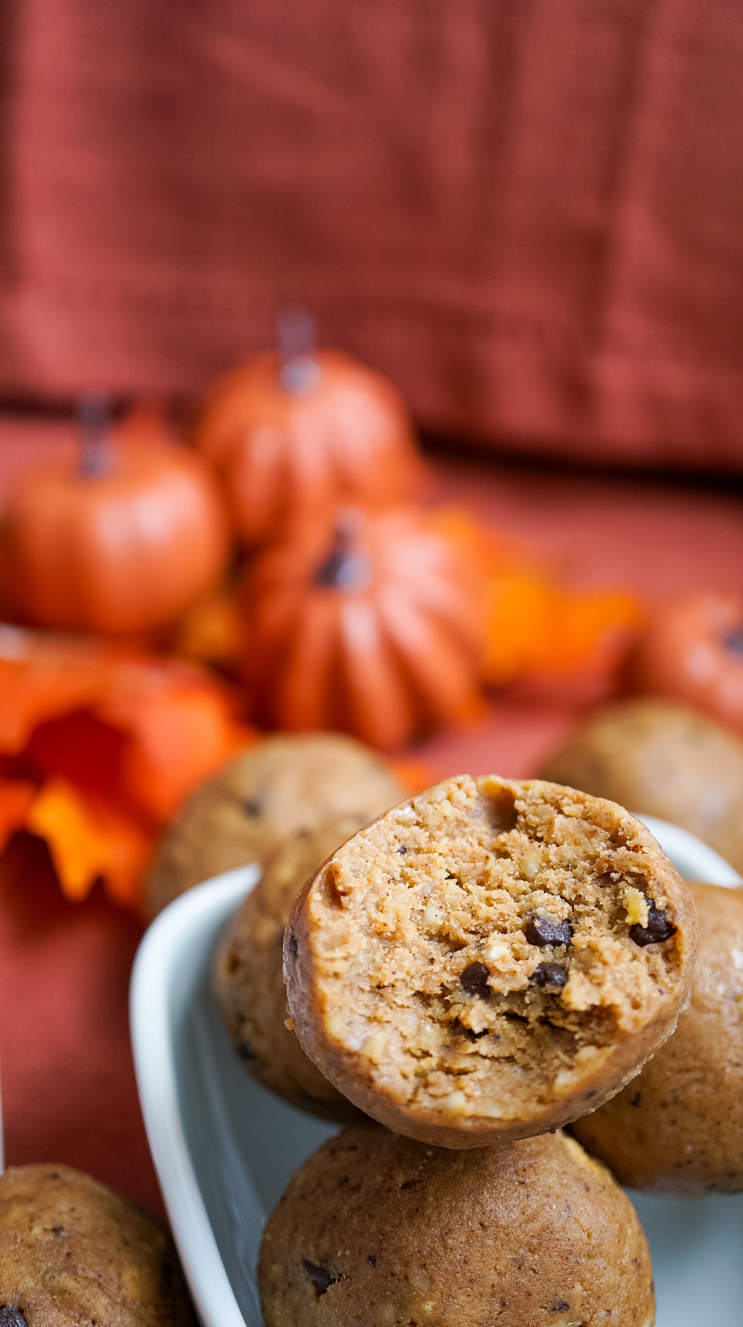 Pumpkin Spice Protein - Raw Bites By Risa