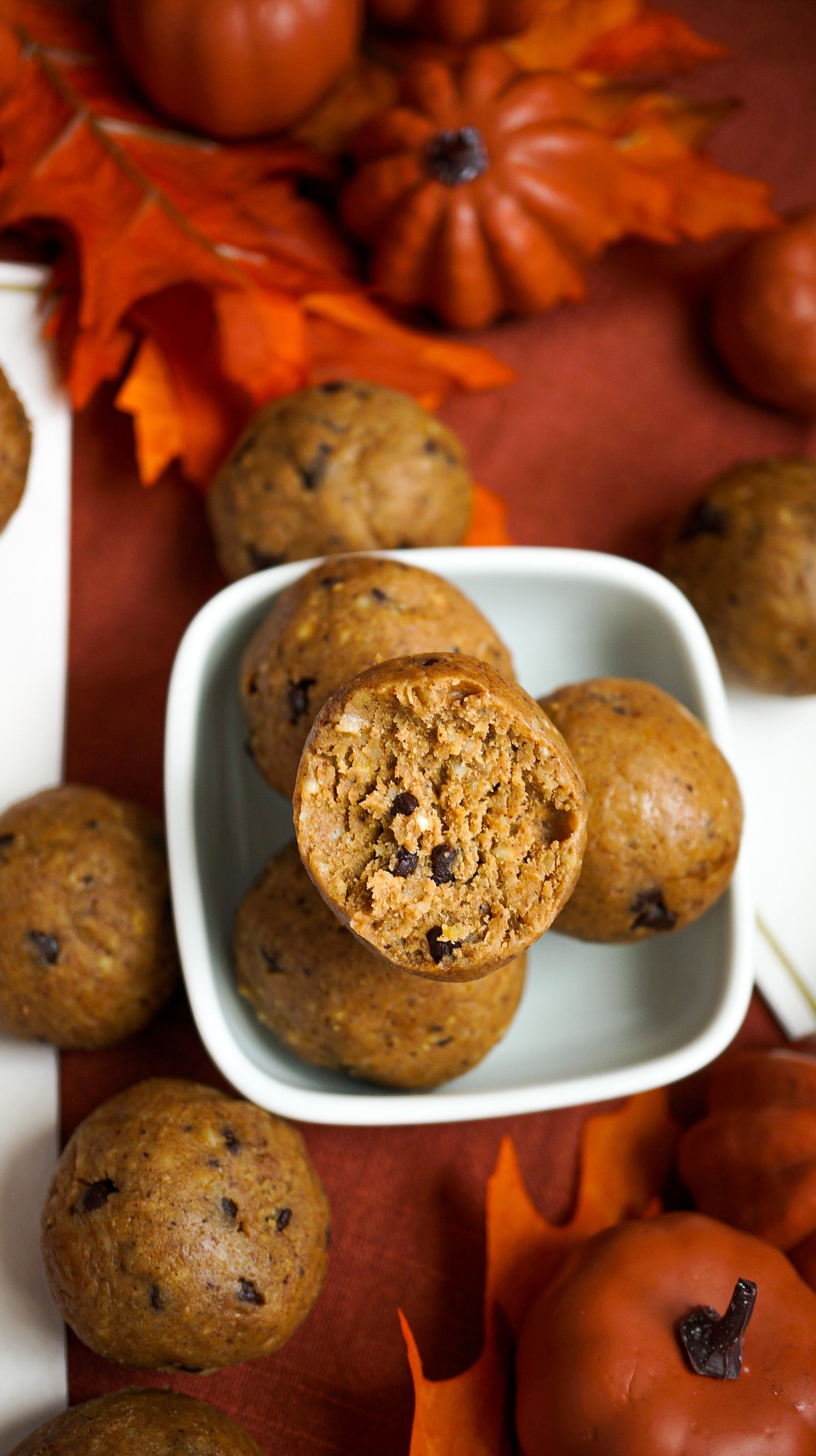 Pumpkin Spice Protein