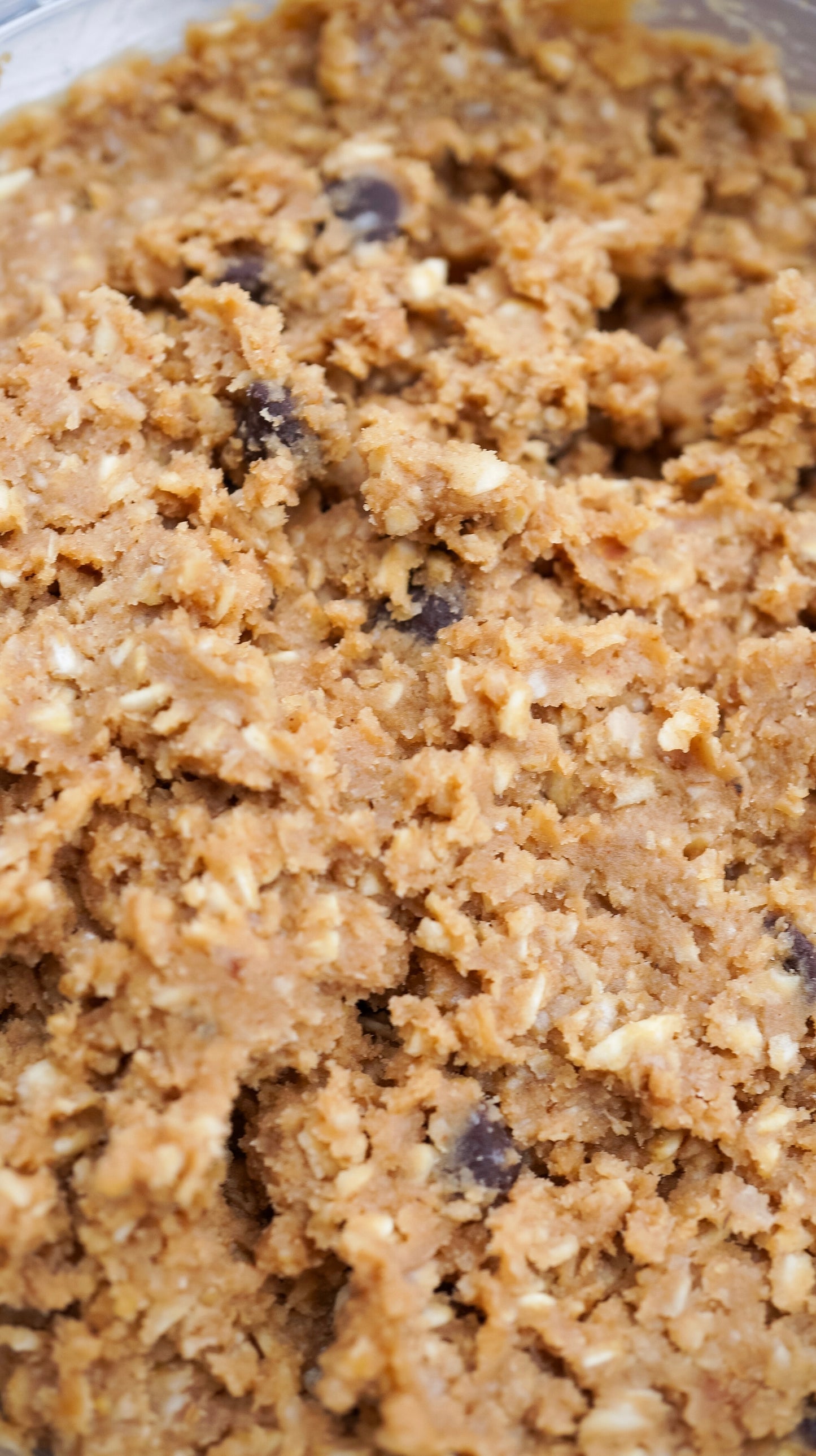 Oatmeal Chocolate Chip - Raw Bites By Risa