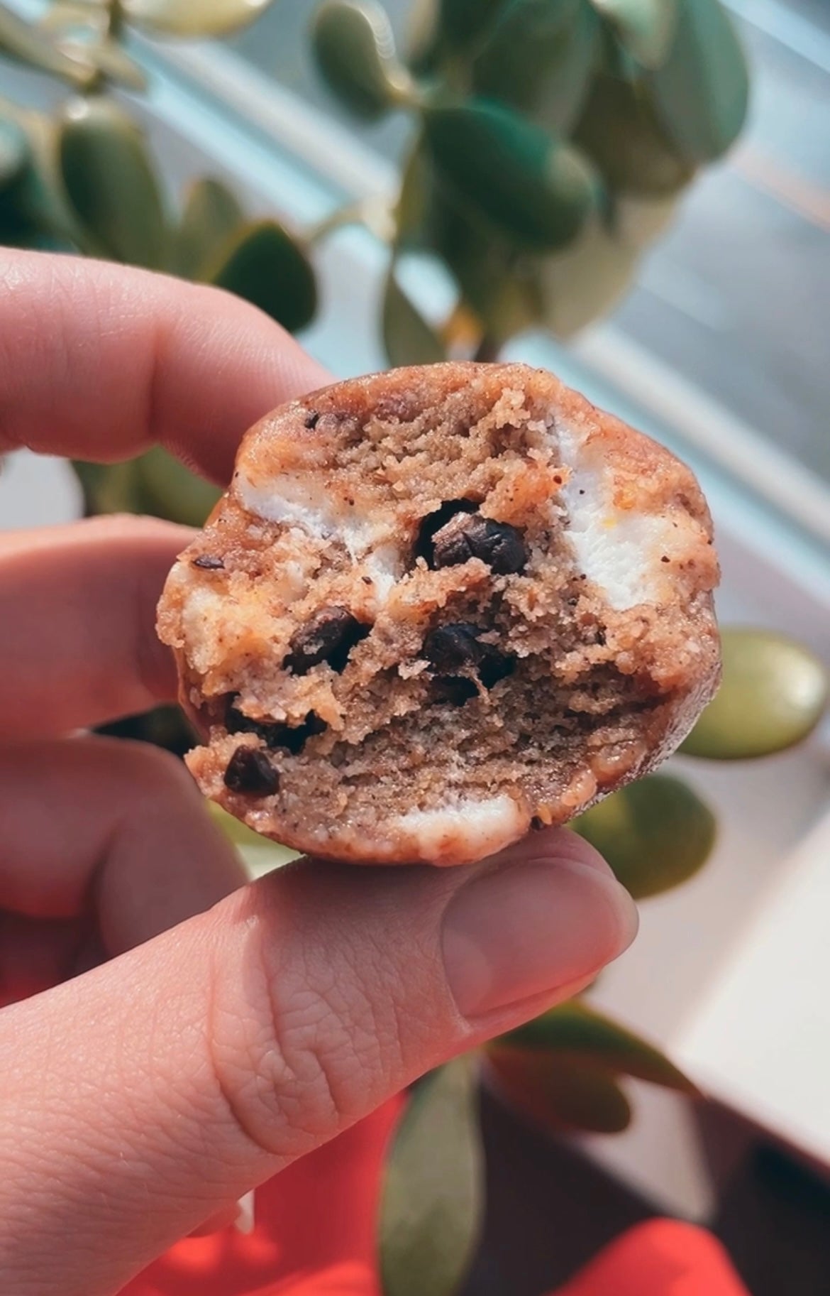 Peanut Butter S'mores - Raw Bites By Risa