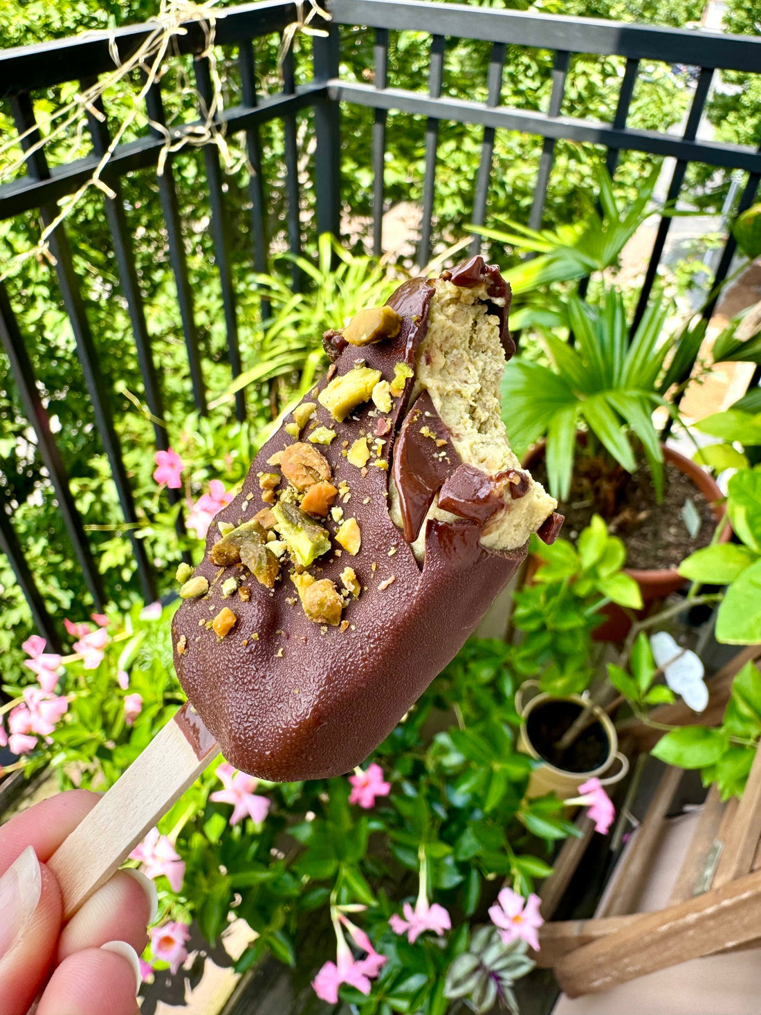 The Healing Power of Plants: How Raw Bites By Risa Supports Your Immune System