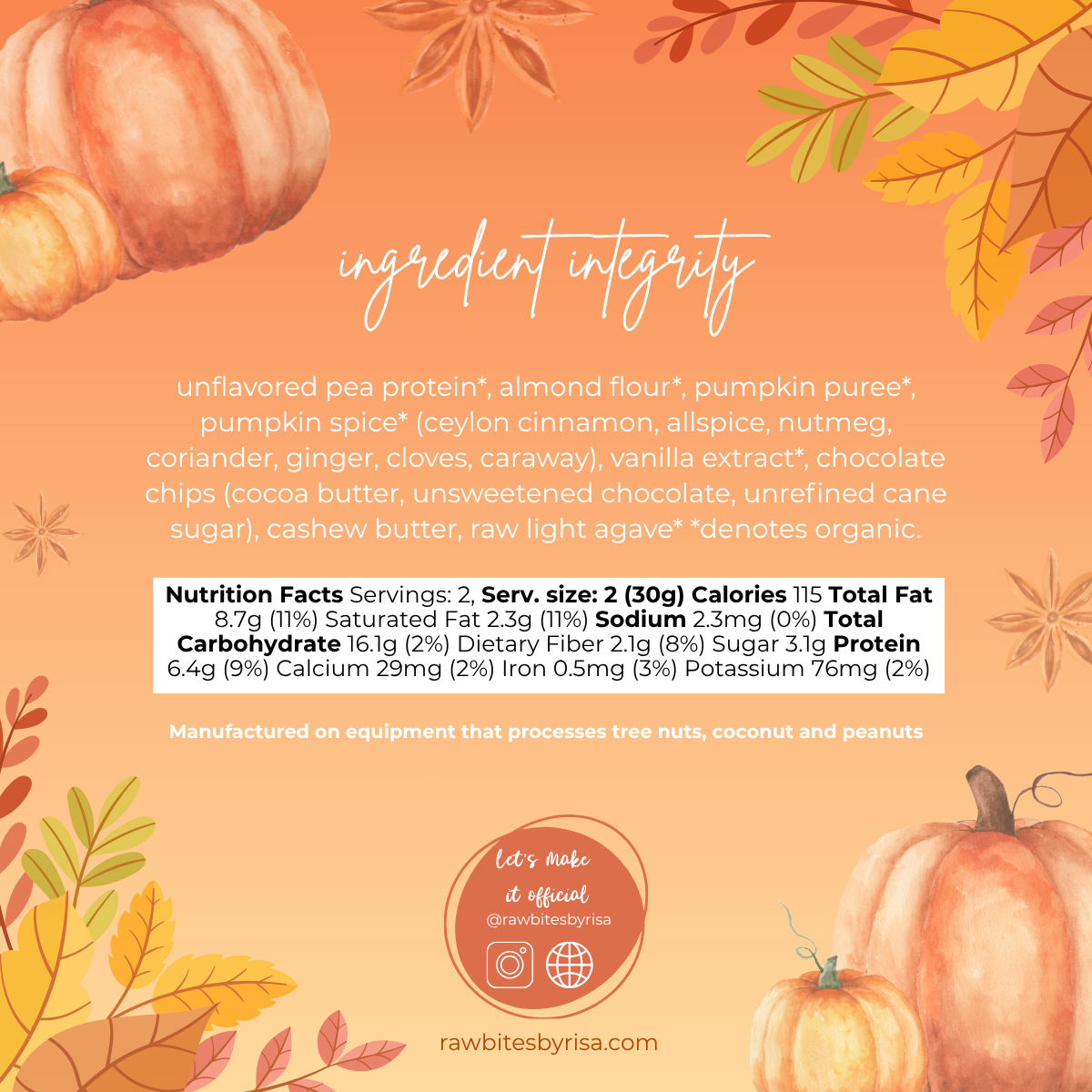 Pumpkin Spice Protein Bites
