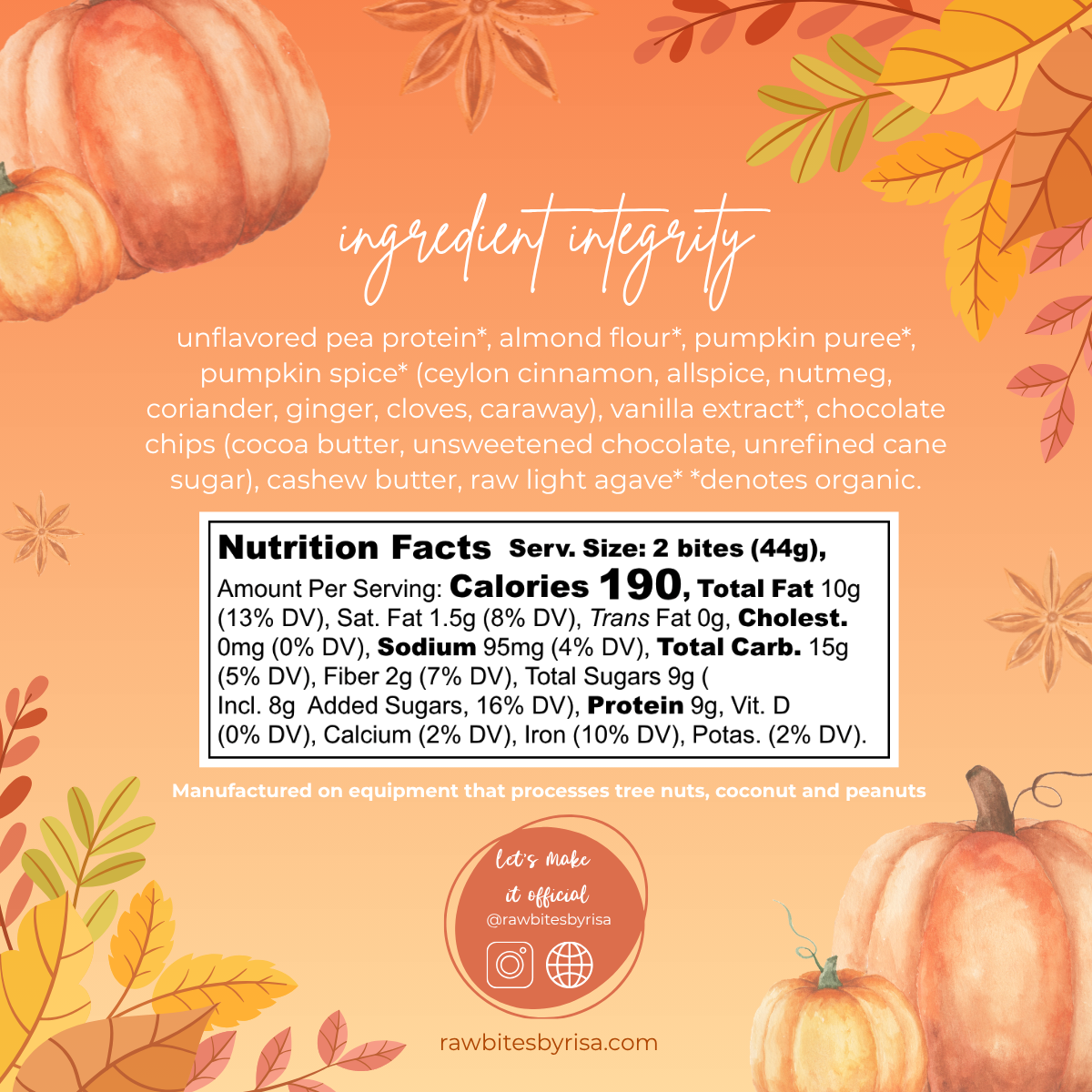 Pumpkin Spice Protein Bites