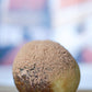 Flavor of the Month: Tiramisù Bites