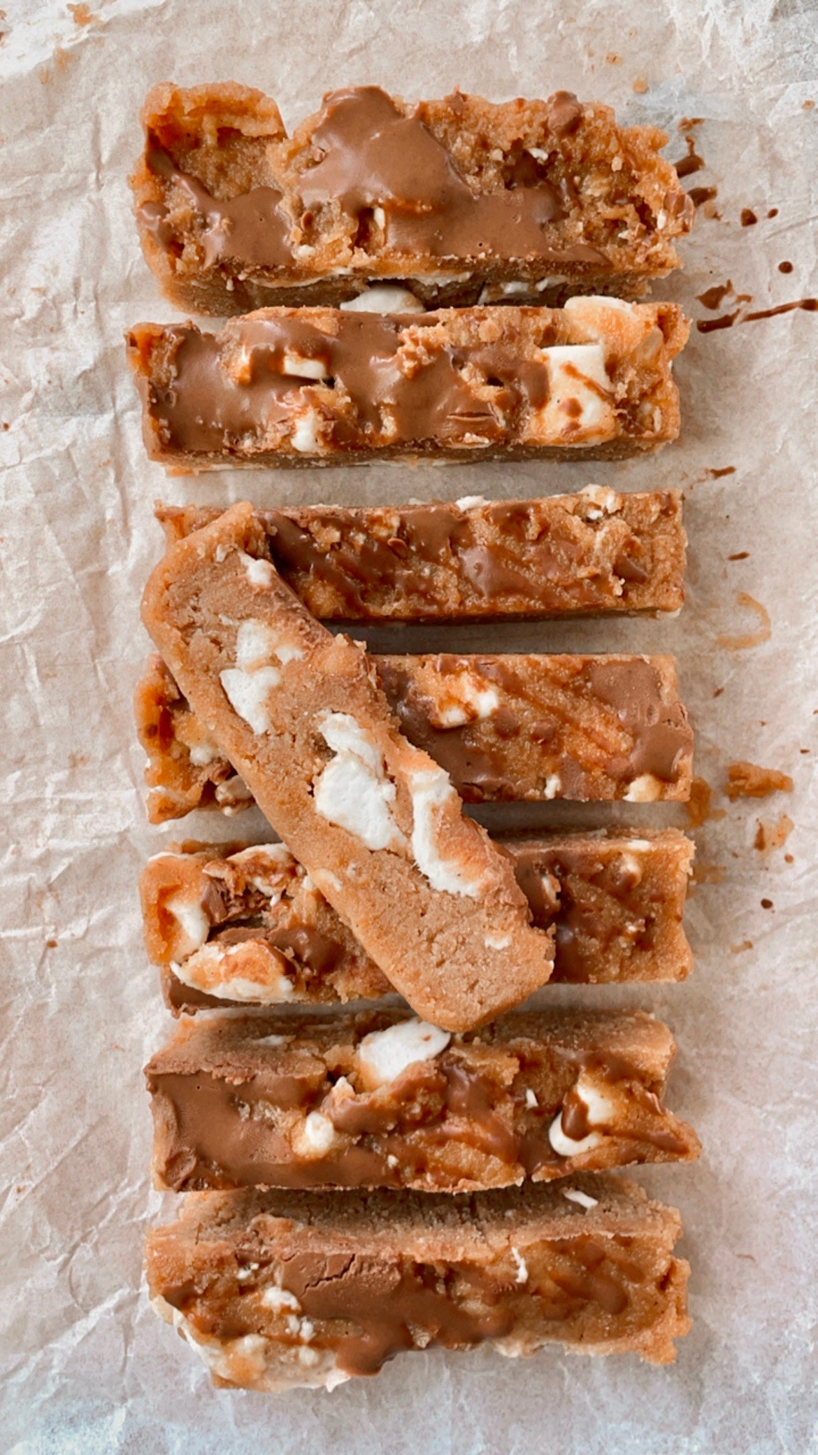 S'mores Blondie Bar - Raw Bites By Risa